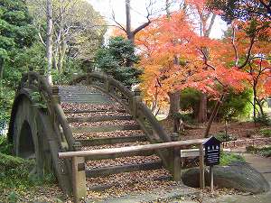 円月橋と紅葉