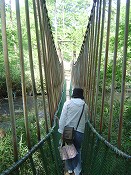 丸太吊り橋