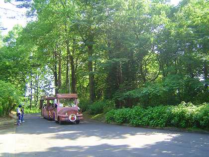 森林公園内を走るかわいいバス。