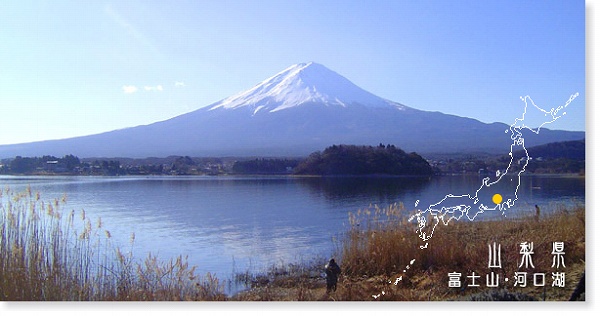 富士山・河口湖大石公園