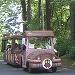 森林公園内のバス